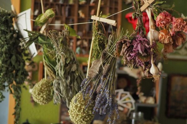 Dried herbs hanging to dry including lavender, sage and botanicals — natural herbal remedies by Mahira's Herbal World