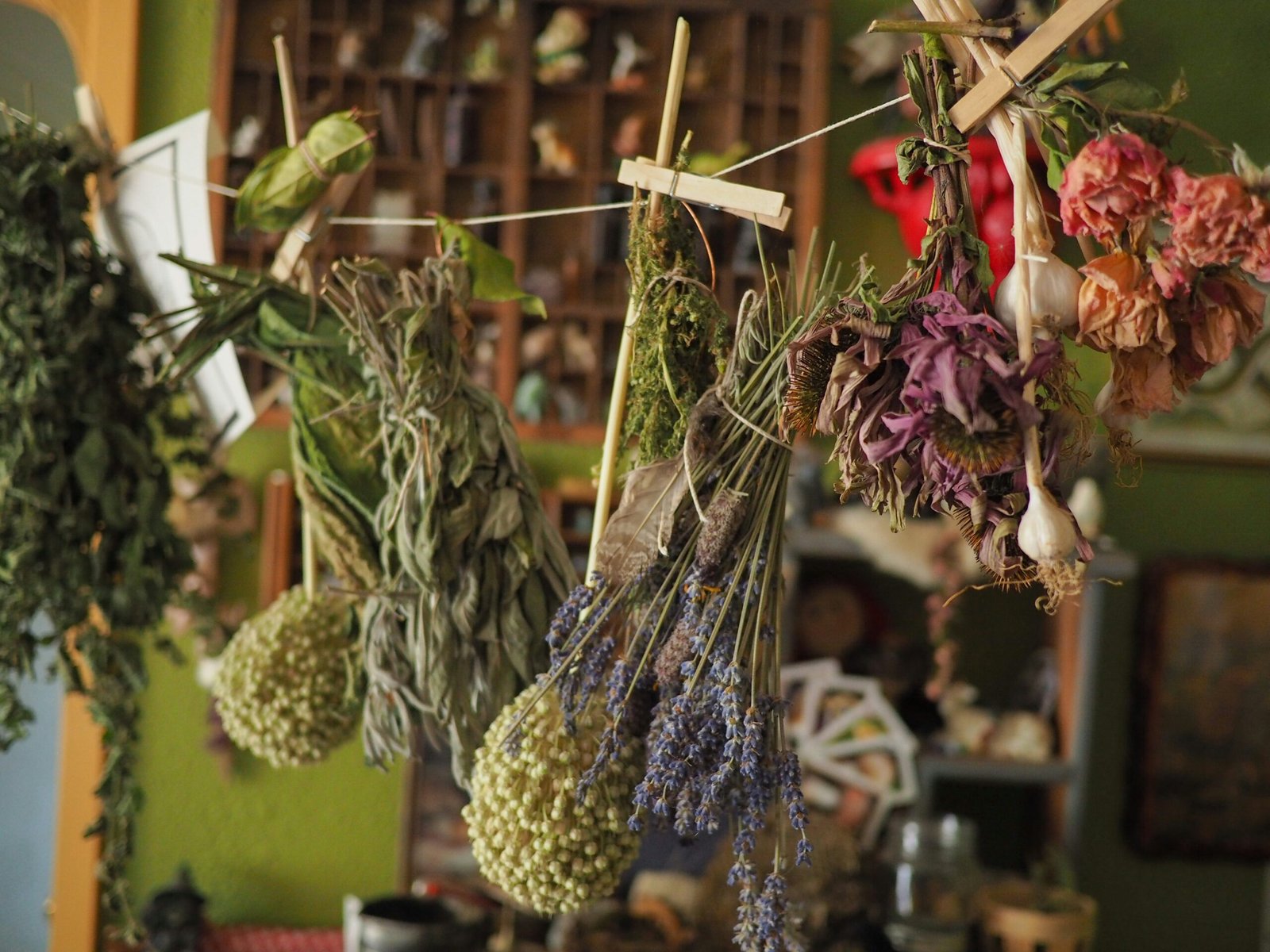 Dried herbs hanging to dry including lavender, sage and botanicals — natural herbal remedies by Mahira's Herbal World